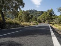 an empty road winds up past the mountains and trees for a scenic perspective as it winds