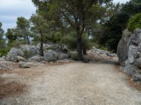 a road is surrounded by rocks and trees with some grass in the distance as people ride their bikes