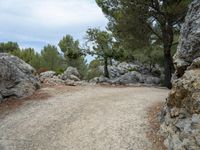 a road is surrounded by rocks and trees with some grass in the distance as people ride their bikes