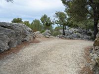 a road is surrounded by rocks and trees with some grass in the distance as people ride their bikes