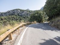 the road goes down a mountain with tall trees in the back ground and a bench next to the side