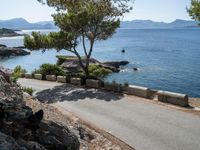 a black cat laying on the side of the road near the water and rock cliffs