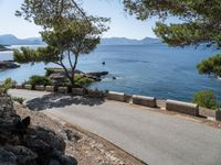 a black cat laying on the side of the road near the water and rock cliffs