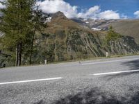 there is a small bird sitting on the road side with mountains in the background in the foreground