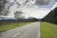 Scenic Road in New Zealand's Lowland