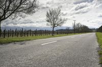 Scenic Road in New Zealand's Lowland
