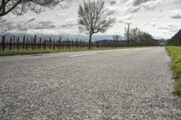 Scenic Road in New Zealand's Lowland