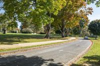 a street that has some trees on either side of it and green grass by the other side