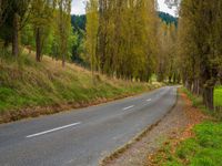 Scenic Road in North Island, New Zealand