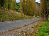 Scenic Road in North Island, New Zealand