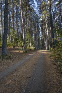 Scenic Road in Ontario Canada Landscape 002