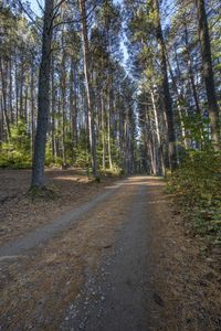 Scenic Road in Ontario, Canada Landscape