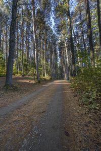 Scenic Road in Ontario, Canada Landscape 006