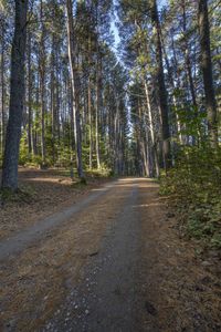 Scenic Road in Ontario, Canada Landscape 007