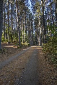 Scenic Road in Ontario Canada Landscape 008