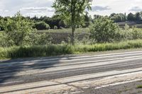 Scenic Road in Ontario, Canada with Lush Green Vegetation