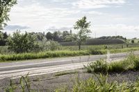 Scenic Road in Ontario, Canada with Lush Green Vegetation