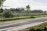 Scenic Road in Ontario, Canada with Lush Green Vegetation