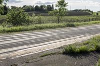 Scenic Road in Ontario, Canada with Lush Green Vegetation