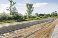 a empty road surrounded by trees in an open grassy area near the waterline,