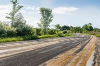 a empty road surrounded by trees in an open grassy area near the waterline,