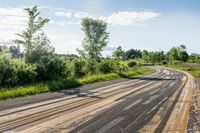 a empty road surrounded by trees in an open grassy area near the waterline,