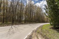 Scenic Road in Ontario: Curving Through Green Landscape