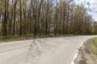 Scenic Road in Ontario: Curving Through Green Landscape