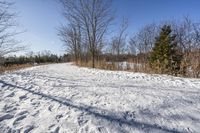 Scenic Road through Ontario Forest