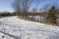 Scenic Road through Ontario Forest