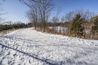 Scenic Road through Ontario Forest