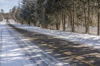 Scenic Road Through the Ontario Forest in Canada