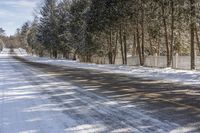 Scenic Road Through the Ontario Forest in Canada