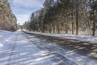 Scenic Road Through the Ontario Forest in Canada