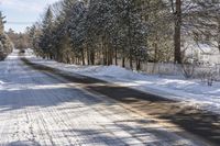 Scenic Road Through the Ontario Forest in Canada