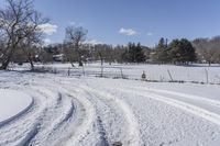 Scenic Road in Ontario: Enjoy the Beauty of Nature and Trees