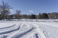 Scenic Road in Ontario: Enjoy the Beauty of Nature and Trees