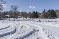 Scenic Road in Ontario: Enjoy the Beauty of Nature and Trees