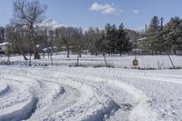 Scenic Road in Ontario: Enjoy the Beauty of Nature and Trees