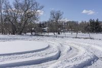 Scenic Road in Ontario: Enjoy the Beauty of Nature and Trees