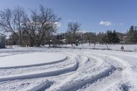 Scenic Road in Ontario: Enjoy the Beauty of Nature and Trees