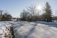 Scenic Road in Ontario with Tree and Snow