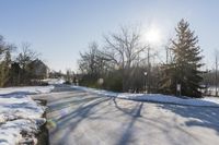 Scenic Road in Ontario with Tree and Snow