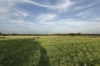 two large grain bins sit in the center of a field, surrounded by silos