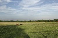 two large grain bins sit in the center of a field, surrounded by silos