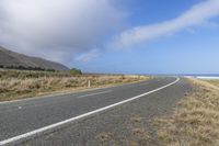 Scenic Road: Overlooking the Ocean with Lush Vegetation