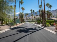 a scenic looking street leading to a beautiful resort area in the desert landscape, with palm trees and mountains