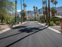 a scenic looking street leading to a beautiful resort area in the desert landscape, with palm trees and mountains