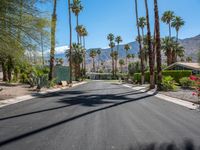 a scenic looking street leading to a beautiful resort area in the desert landscape, with palm trees and mountains