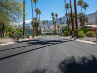 a scenic looking street leading to a beautiful resort area in the desert landscape, with palm trees and mountains